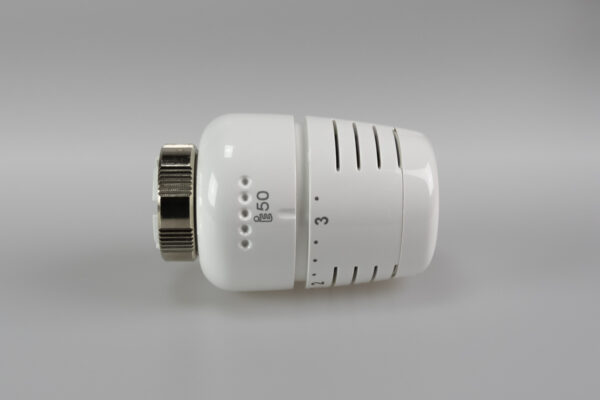 Epeterm - Image 4
