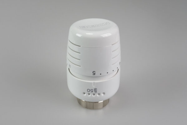 Epeterm - Image 6