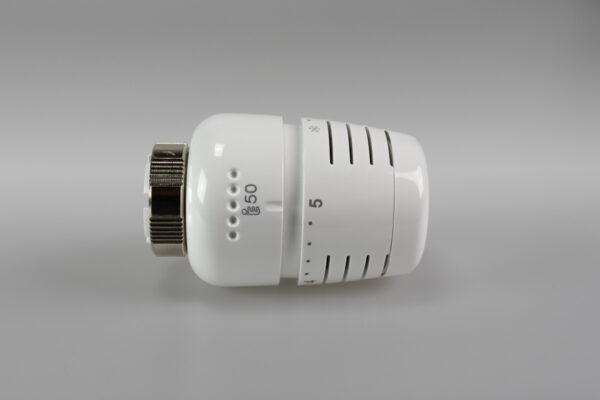 Epeterm - Image 2